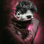 عکس کاربر - Alireza xp