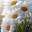 عکس کاربر - فاطمه