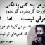 عکس کاربر - محمد