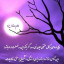 عکس کاربر - ali 