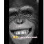 عکس کاربر - 🦍سارا گوریل🦍