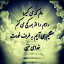 عکس کاربر - royra