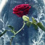 عکس کاربر - Fatemeh