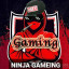 عکس کاربر - 🎮نینجا گیمینگ🎮