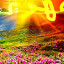 عکس کاربر - مهدی محمدی