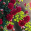 عکس کاربر - مهدی کوهی