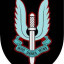 عکس کاربر - SAS