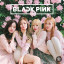 عکس کاربر - Black pink
