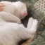 عکس کاربر - #دنبال کن دنبال شوو#