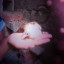 عکس کاربر - صدرا