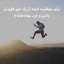 عکس کاربر - سبحان شاکری