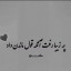 عکس کاربر - {♡amirali♡}