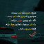عکس کاربر - 956887