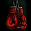 عکس کاربر - Mamad boxer