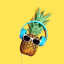 عکس کاربر - mr pineapple 🍍