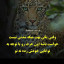 عکس کاربر - رسول