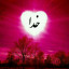 عکس کاربر - mohammadfatehmoorad nuori