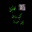 عکس کاربر - دنبال کن دنبالی