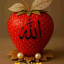 عکس کاربر - محمد البوعشیره