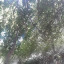 عکس کاربر - mojtabnaserpana