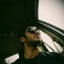 عکس کاربر - mr_parvinii