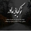 عکس کاربر - مینا ازمرزسیتی