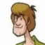 عکس کاربر - Shaggy