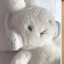 عکس کاربر - rabbit cute 