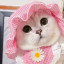 عکس کاربر - sara💖🐾