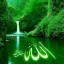 عکس کاربر - علیرضاالهیاری
