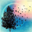 عکس کاربر - nima mohammadi