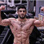 عکس کاربر - حسن یزدانی