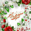 عکس کاربر - اسماعیل حسن زاده