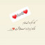 عکس کاربر - عارف بهاری