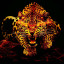 عکس کاربر - ilia(ZX)