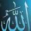 عکس کاربر - امیر