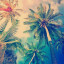 عکس کاربر - حافي