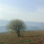 عکس کاربر - مهران