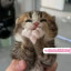عکس کاربر - ♥ASMA♥