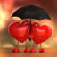 عکس کاربر - طاهازندی
