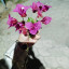 عکس کاربر - کرومی