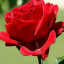عکس کاربر - @Reza1360