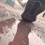 عکس کاربر - alireza
