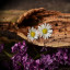 عکس کاربر - MAYSAM.HP