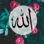 عکس کاربر - الله