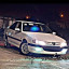 عکس کاربر - خرس