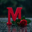 عکس کاربر - m.p