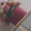 عکس کاربر - گل بهار
