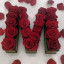 عکس کاربر - 862334