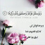 عکس کاربر - امیرعلی